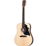 Gibson Generation G Bird with padded case