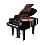 Yamaha C1XPE Compact Grand Piano - 5'3" Polished Ebony- With Bench