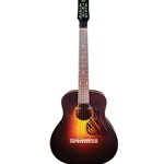 Iris Dan Erlewine DE11 with Hardcase