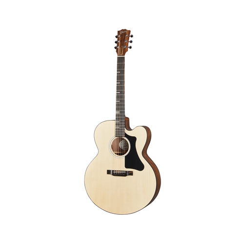 Gibson G-200 EC with Gigbag