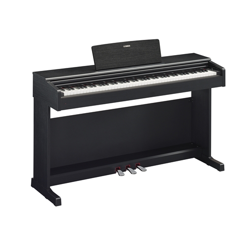 Yamaha Arius YDP-144B Digital Piano With Bench - Black - 3 Year Warranty