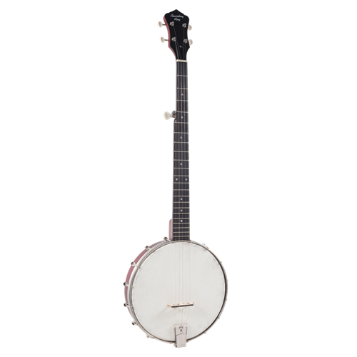 Recording King Open Back Banjo