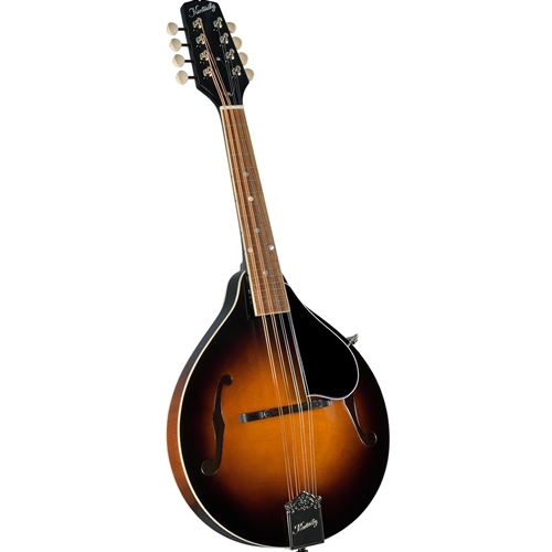 Kentucky Mandolin A Model Sunburst