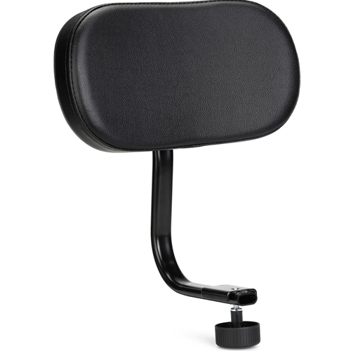 DW DWCP9100BR Back Rest for 9100AL Throne