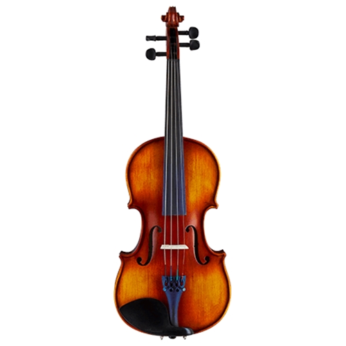 Oldenburg 4/4 Violin - Includes Case & Horsehair Bow OldenBurg