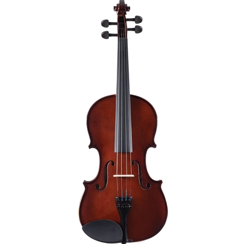 Palatino VN350 3/4 With Case & Bow